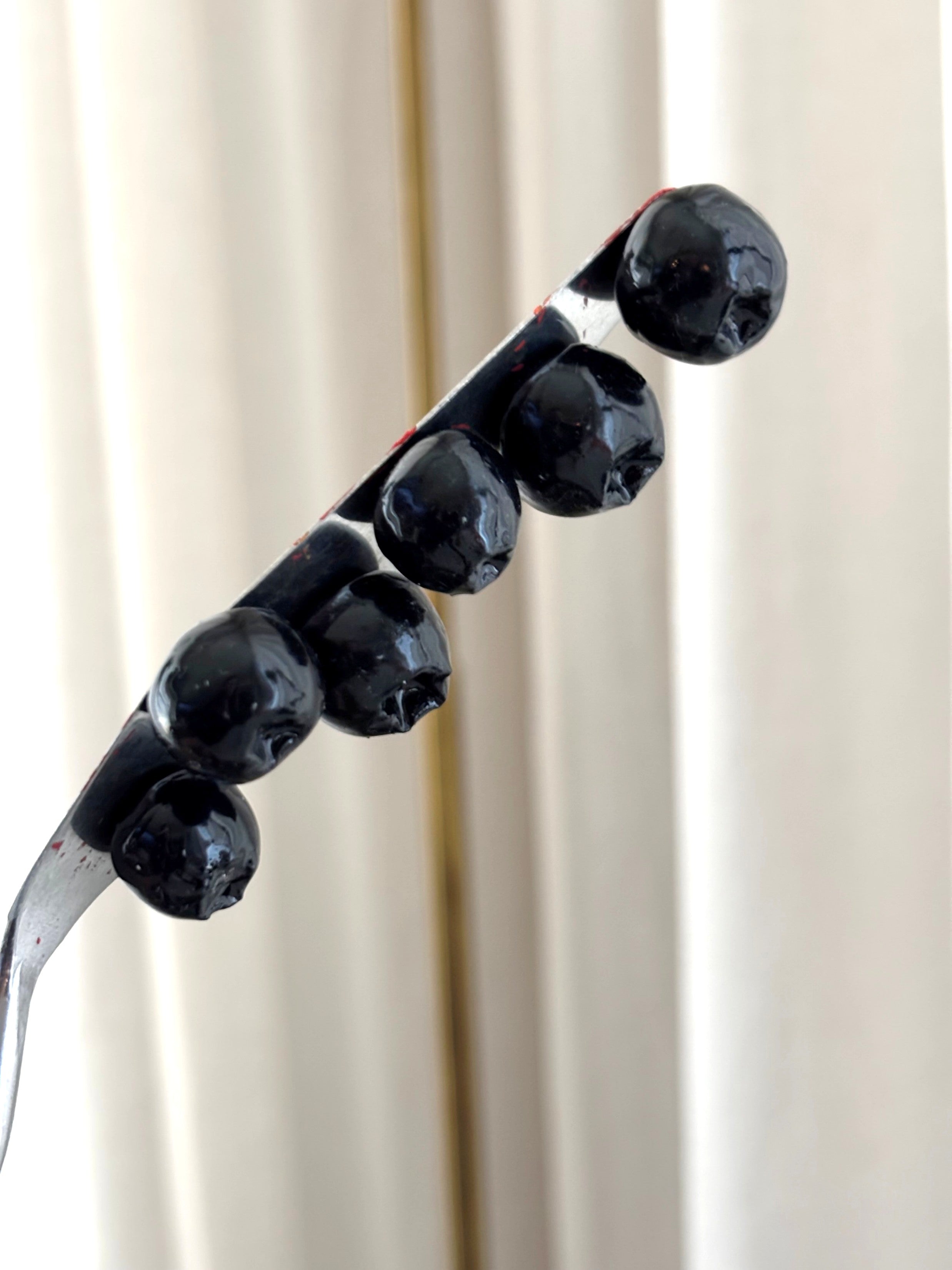 Magneetti Mustikka setti 6kpl