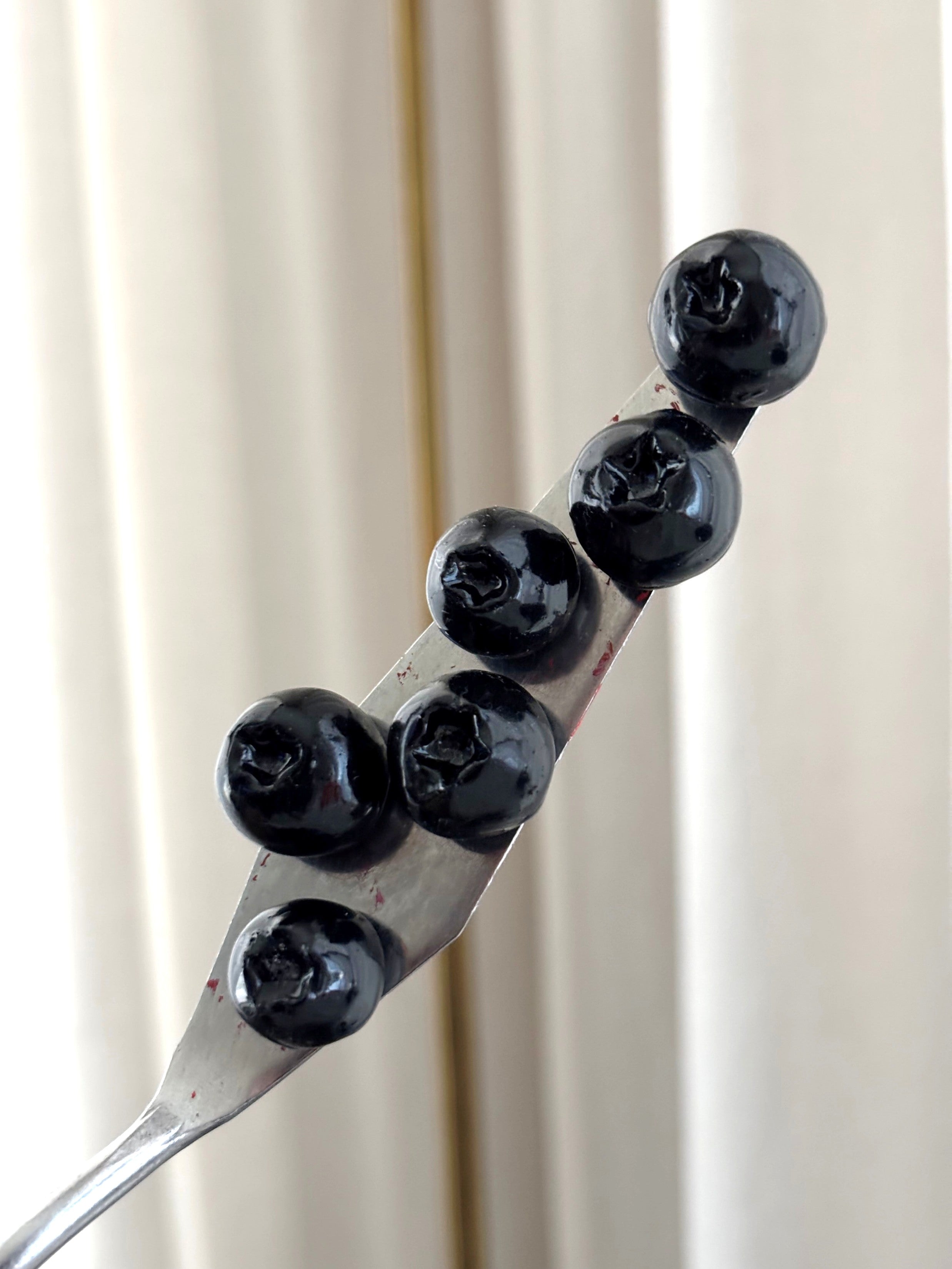 Magneetti Mustikka setti 6kpl