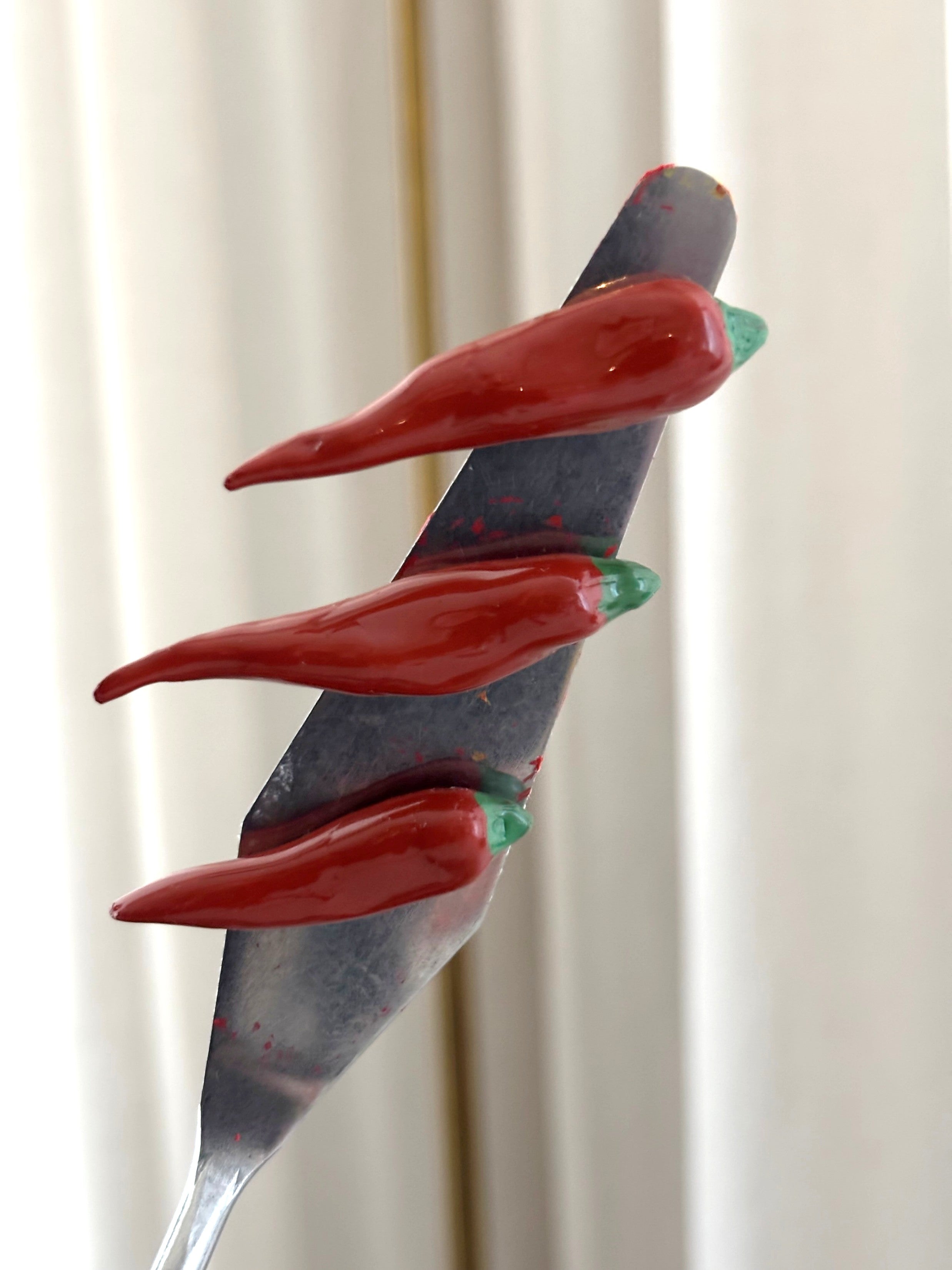 Magneetti Chili setti 2kpl