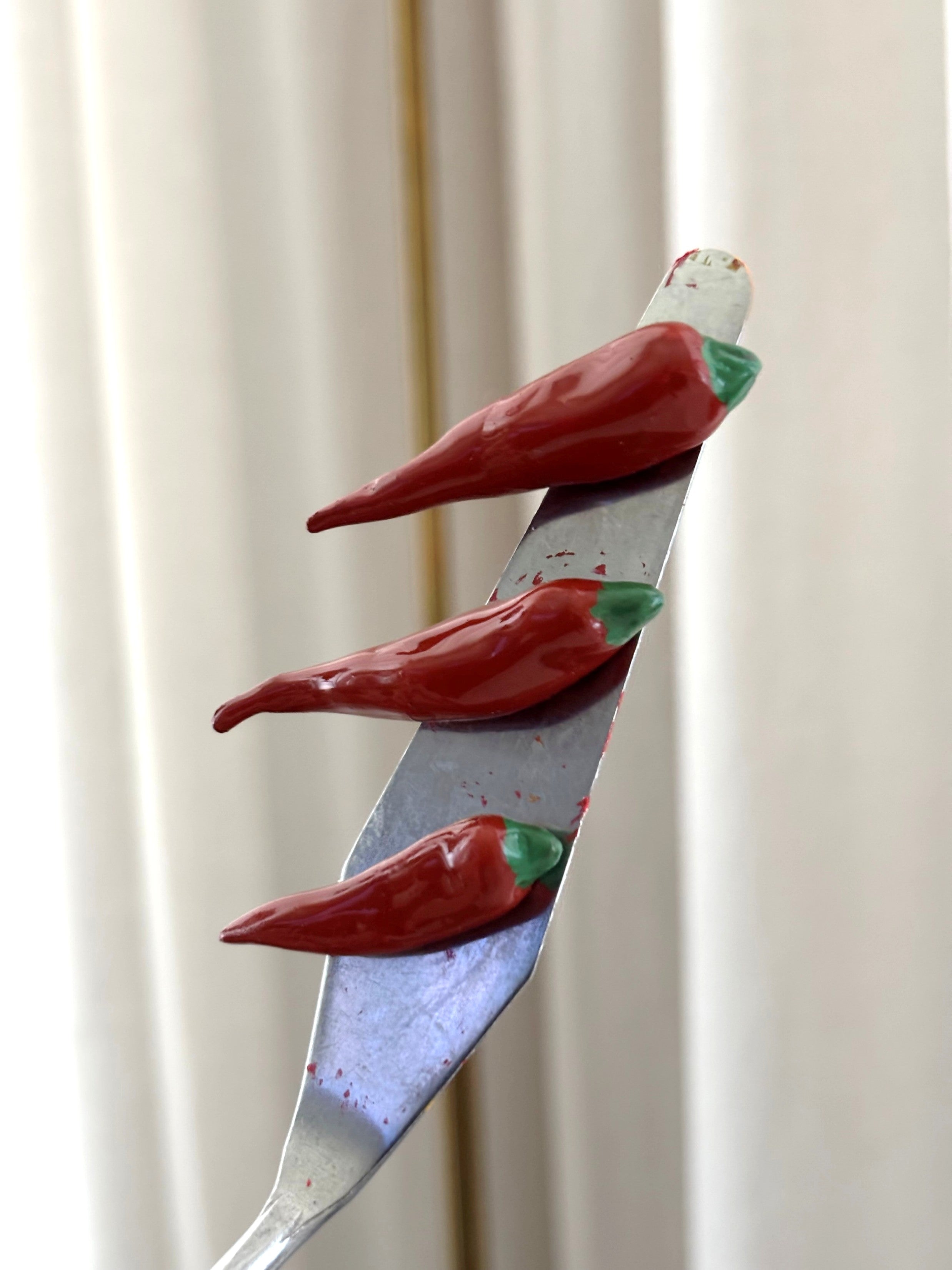 Magneetti Chili setti 2kpl