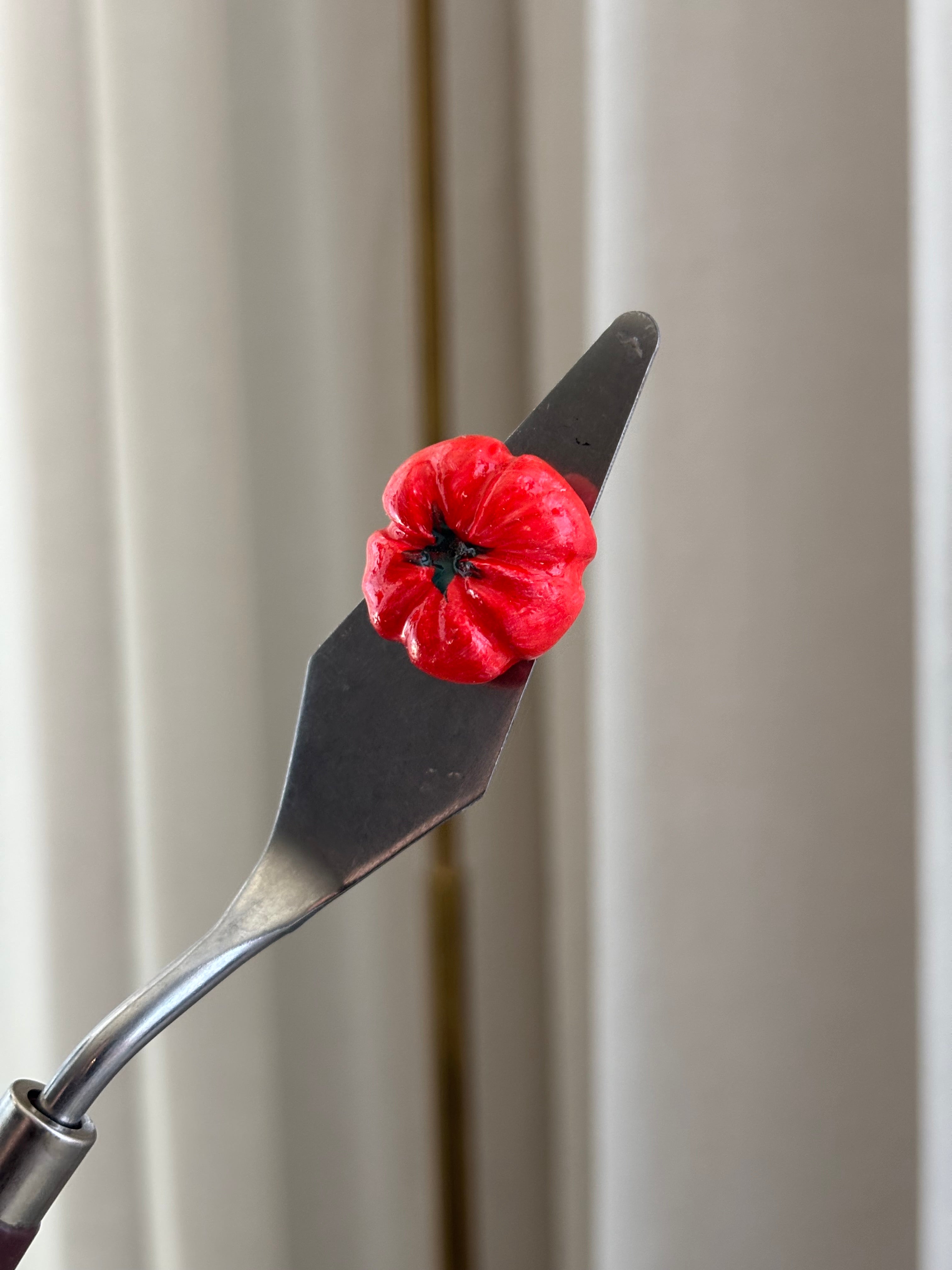 Magneetti Tomato red