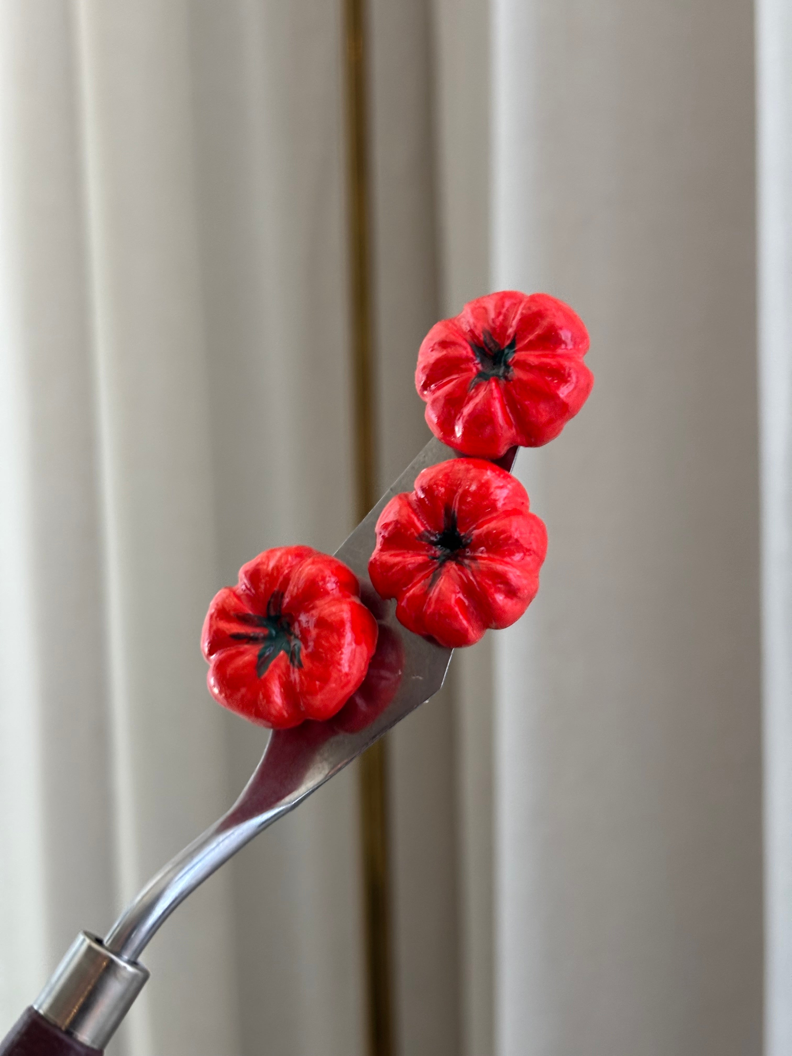 Magneetti Tomato red