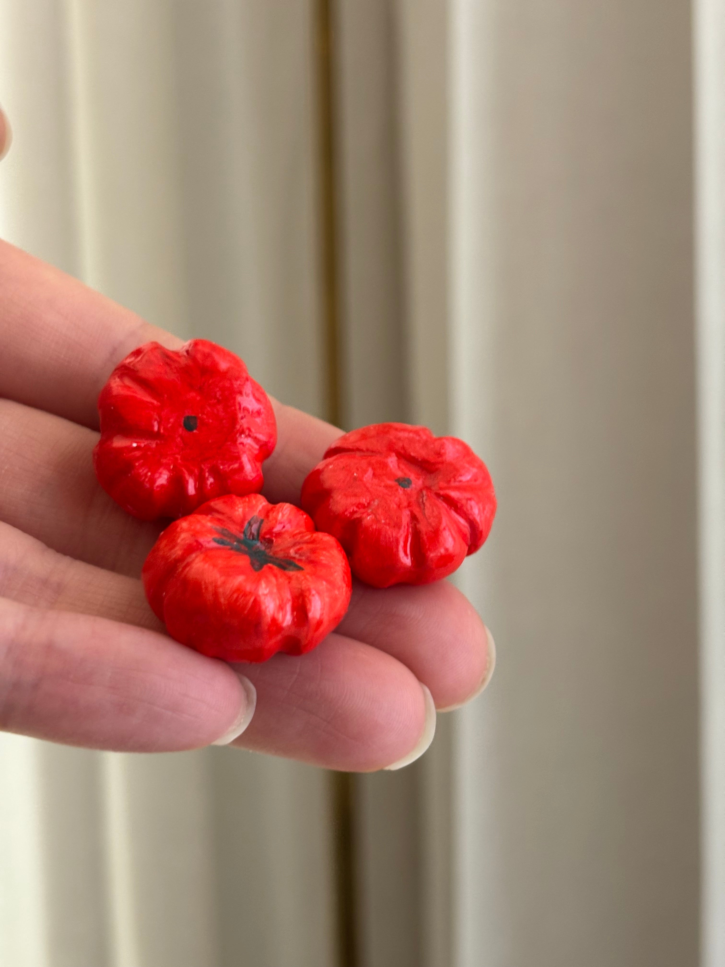 Magneetti Tomato red